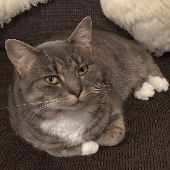 Meet your Posher, Therese - Picture 1 of 1